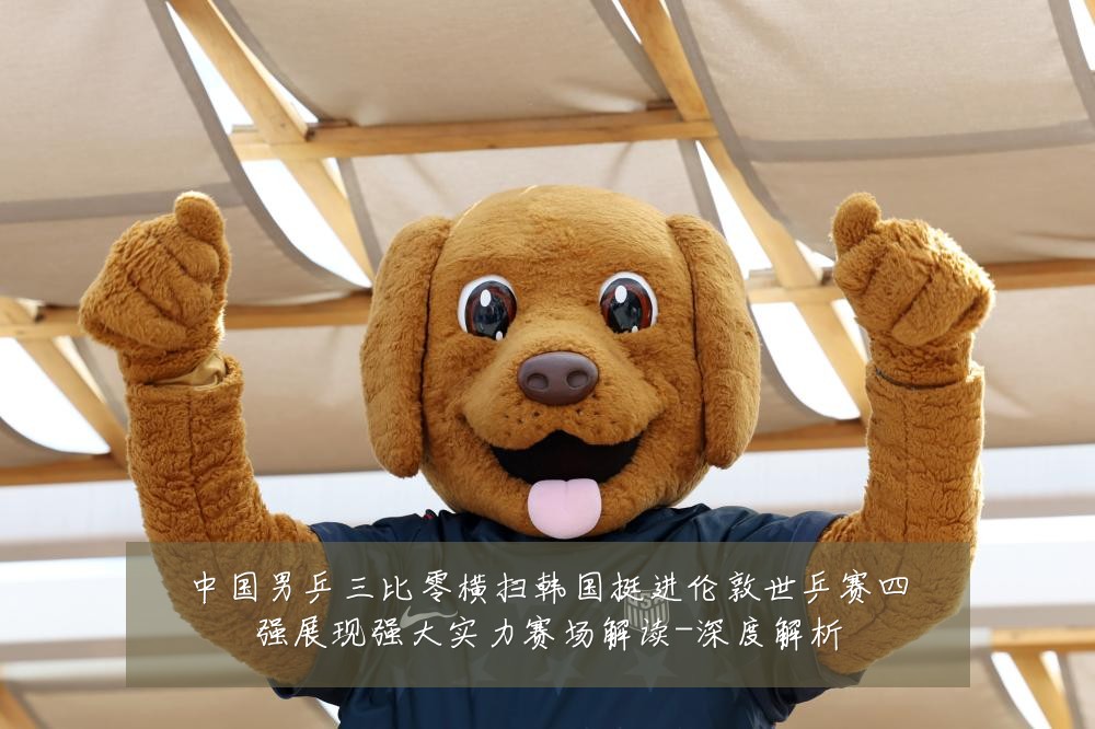 中国男乒三比零横扫韩国挺进伦敦世乒赛四强展现强大实力赛场解读-深度解析